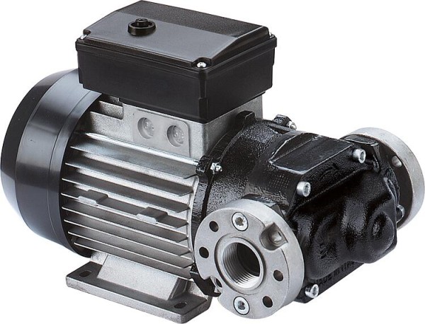 Selbstansaugende Rotationspumpe Typ E 120 M,230V/50Hz, 750 Watt 100l/min max.