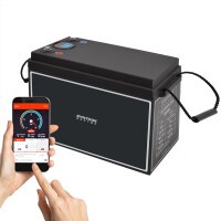 100Ah 24V Lifepo 4 Lithium Batterie | Akku mit BMS, Bluetooth, Display