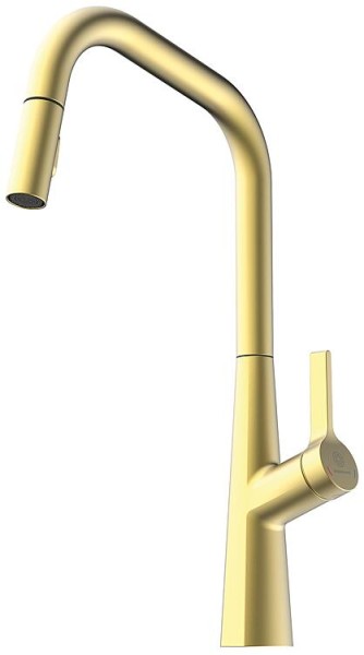 Spültischmischer Wasserwerk WK 9 Edge Ausladung 225 mm herausziehbare Geschirrbrause Gold gebürstet